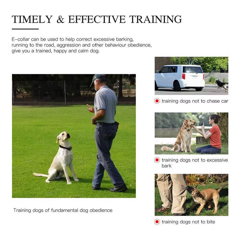Electric Dog Trainer and Bark Stop Device Dog Training Collar Rechargeable Remote Control IP67 Waterproof Suitable for Dogs of Multiple Sizes